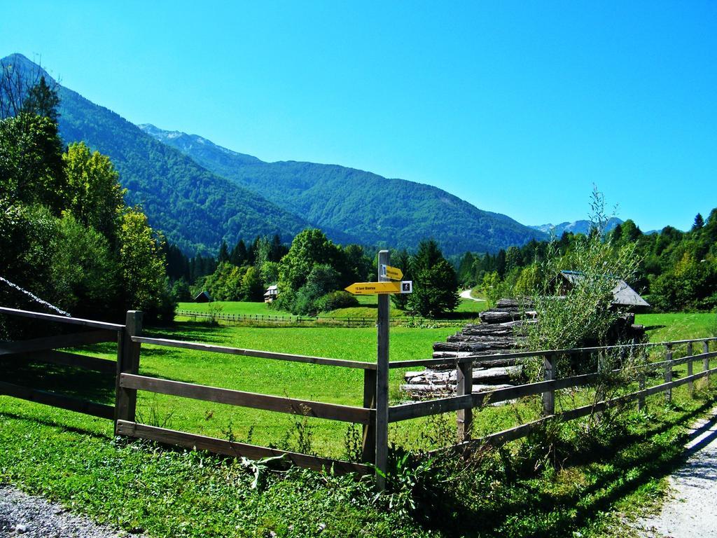 Guest House Alenka Bohinj Esterno foto