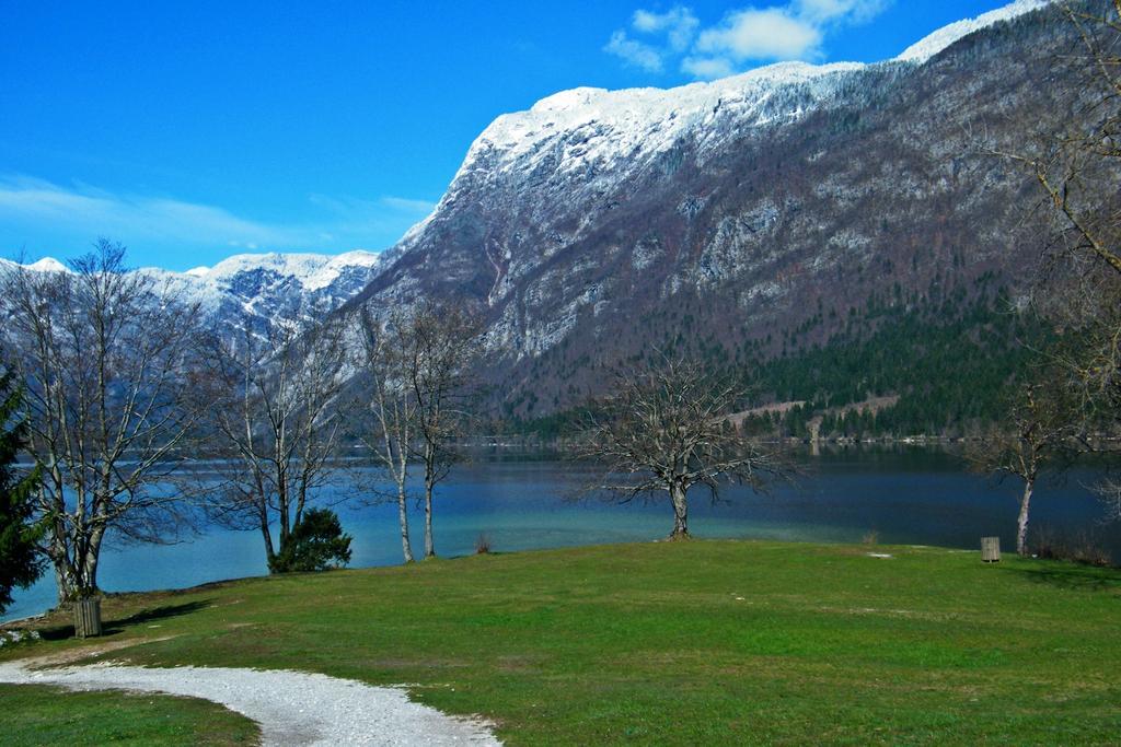 Guest House Alenka Bohinj Esterno foto
